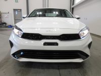Image of 2020 DODGE GRAND CAAVAN PREMIUM+