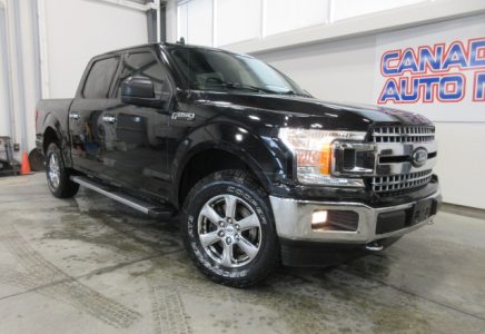 Image for used 2020 FORD F-150 XLT 2