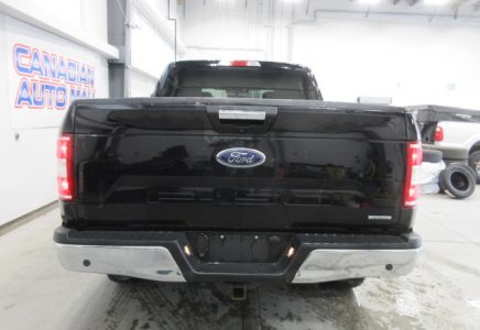 Image for used 2020 FORD F-150 XLT  7