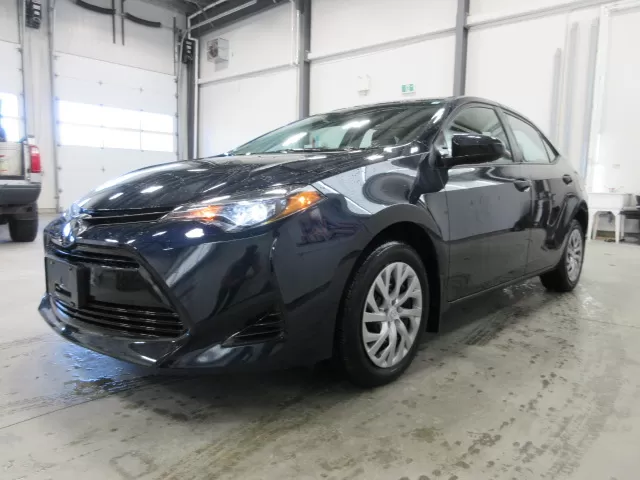 2019 TOYOTA COROLLA